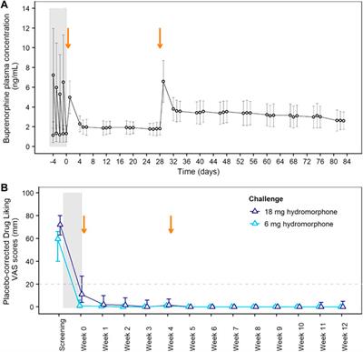 Frontiers | Buprenorphine Exposure Levels To Optimize Treatment ...